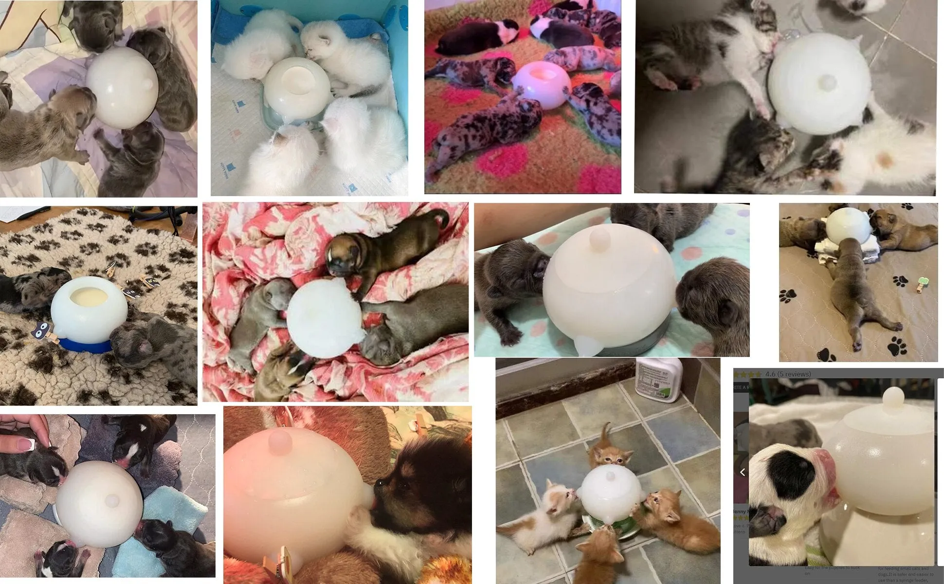 Best Dog Bubble Milk Bowl Station Feeders Flow Out Slowly Evenly Drinking