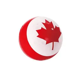 Canada Bouncy Sponge Ball