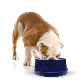 Cooling Dog Water Bowl - Pet Coolin' Bowl