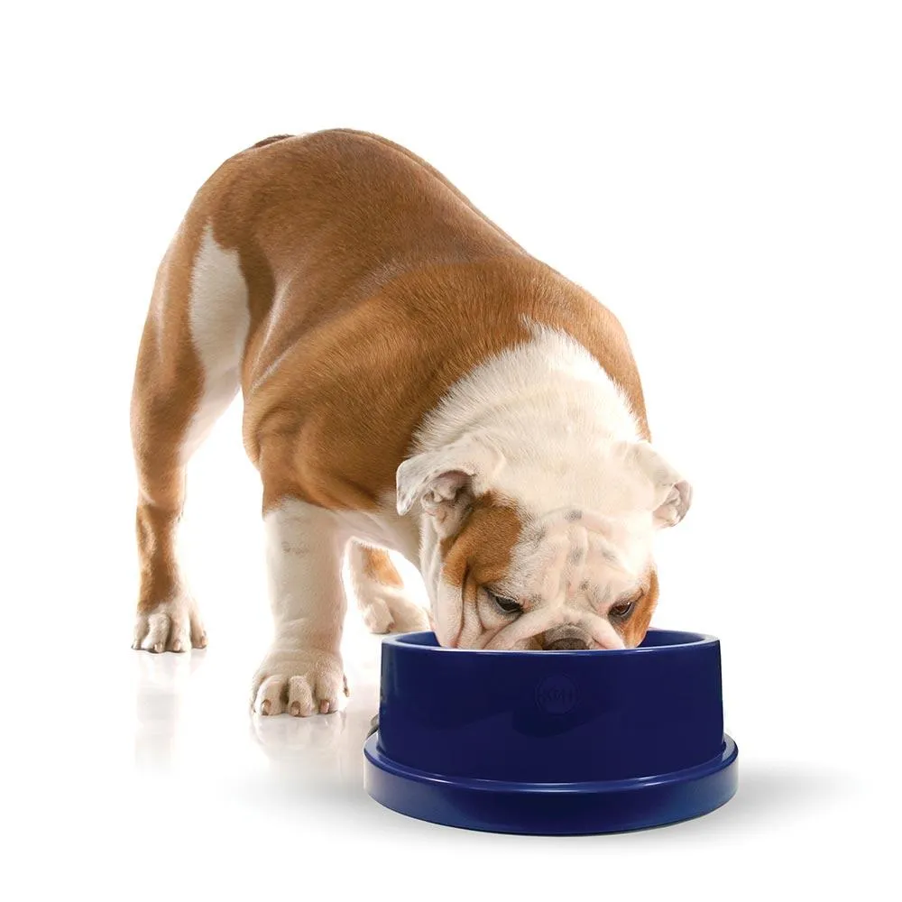 Cooling Dog Water Bowl - Pet Coolin' Bowl