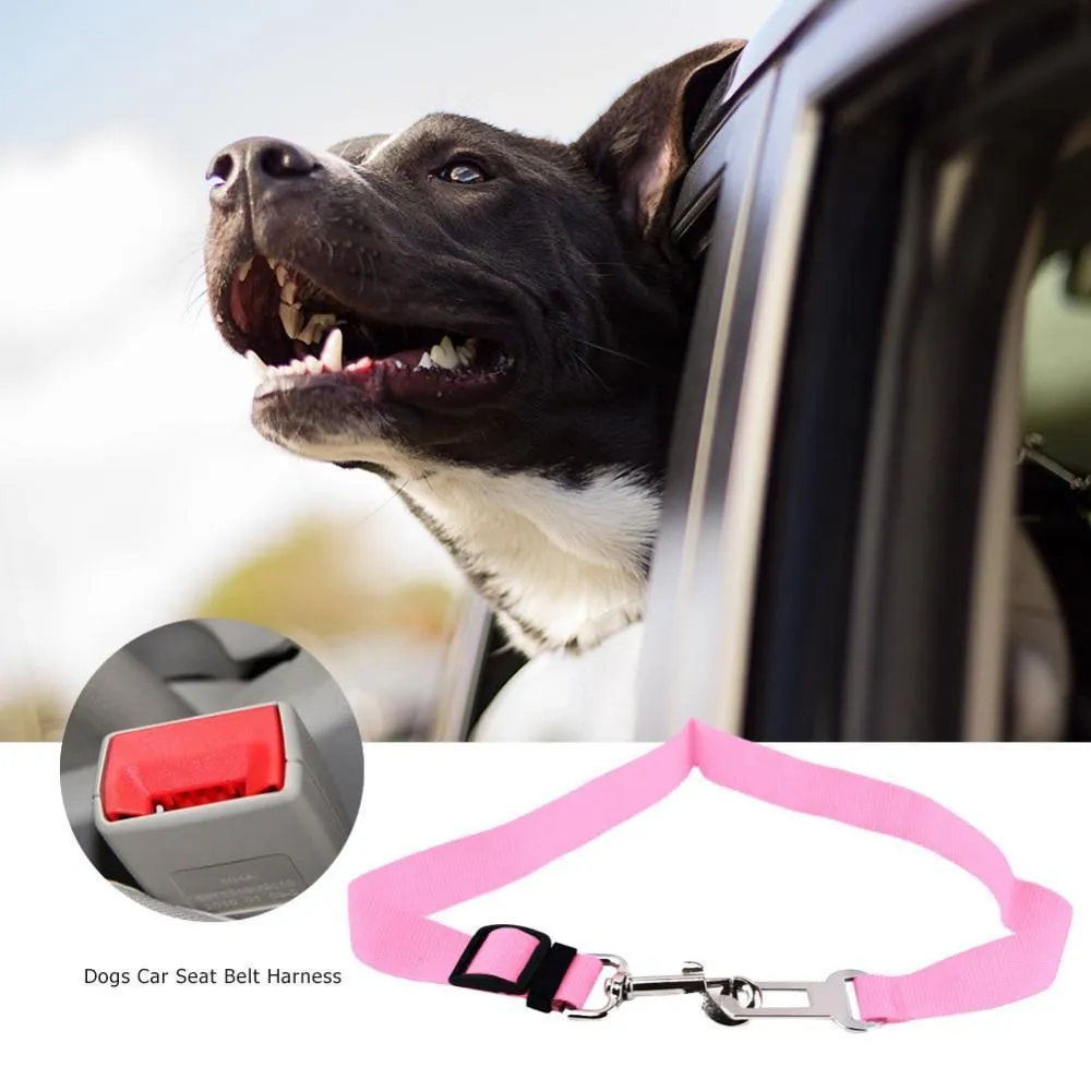 Dog Seat Belt Car Harness