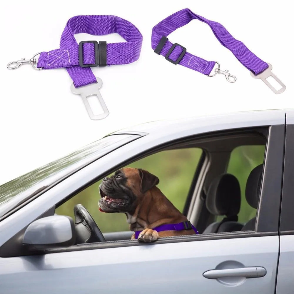 Dog Seat Belt Car Harness
