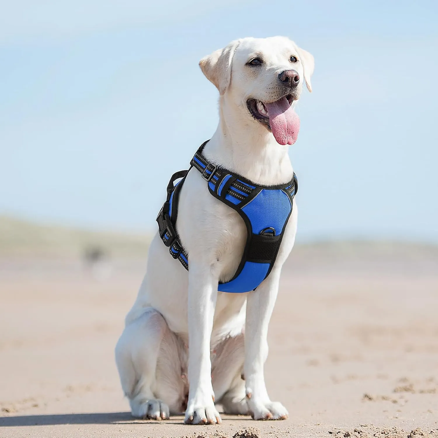 Eagloo Dog Harness for Large Dogs, No Pull Service Vest with Reflective Strips and Control Handle, Adjustable and Comfortable for Easy Walking, No Choke Pet Harness with 2 Metal Rings, Blue, L