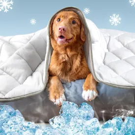 Leekalos Dog Cooling Mat,Pet Cooling Pads for Dogs Blanket,Summer Cooling Bed for Cats Blanket,Portable Pet Cooling Cushion for Home & OutdoorKeep Cooling for Pets (Cool Grey, Large(40"x60"))
