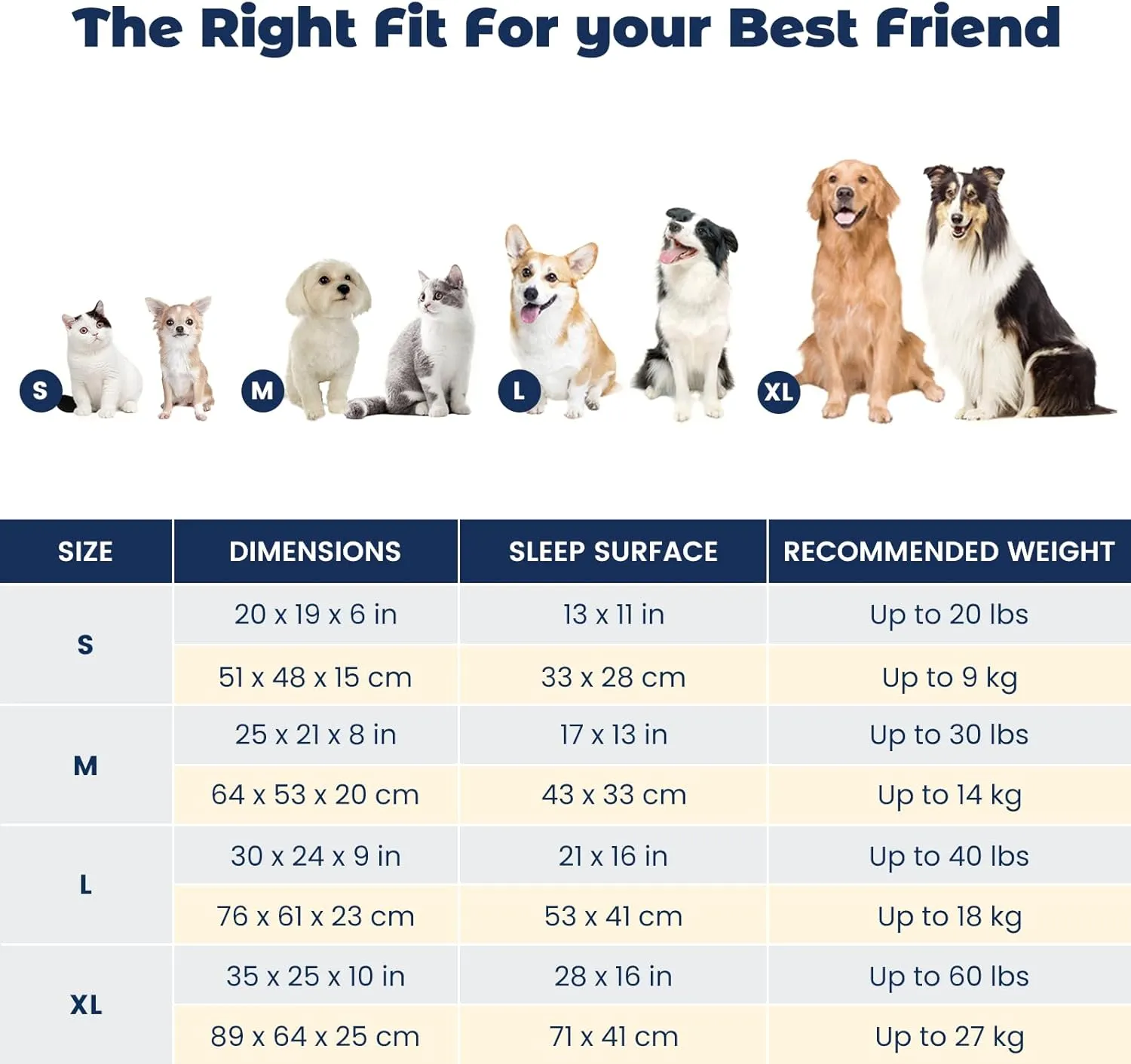 Miguel Small Dog & Cat Bed, Washable Removable Cover, Square, Cuddle Rectangle Pet Bed with Side Bolster, Blue, 20 Inch
