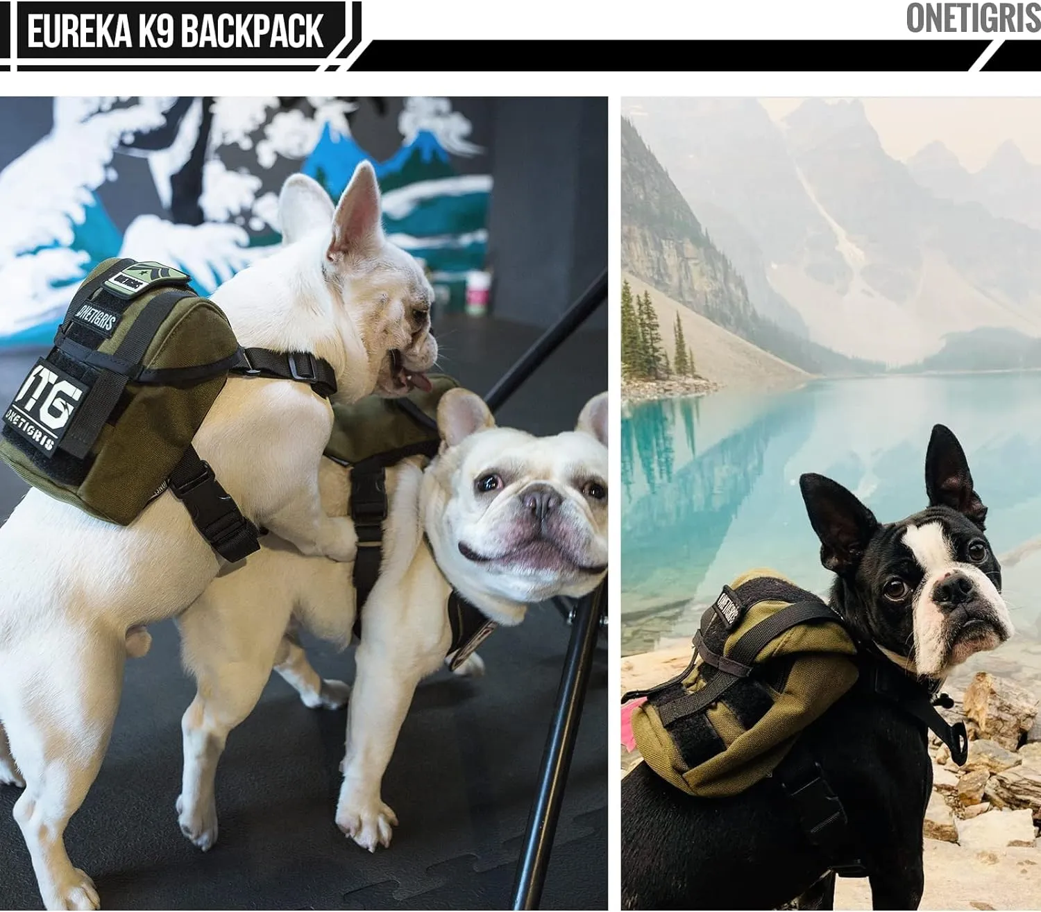 OneTigris Dog Pack, Backpack Durable Small Medium Dog Pack with Litter Bag Exit for Camping Hiking Daily Walking (Ranger Green, X-Small)