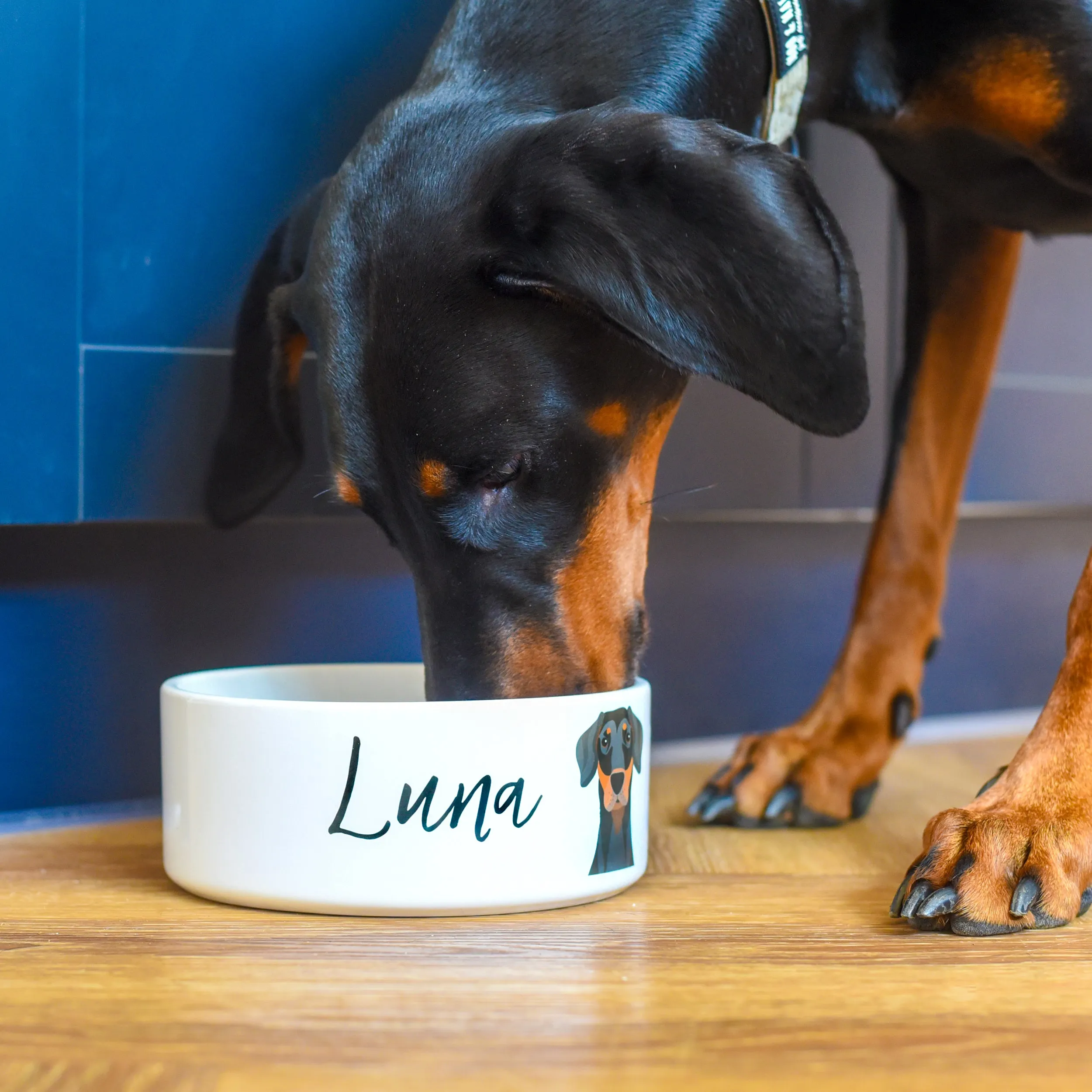 Personalised Ceramic Dog Bowl - Realistic