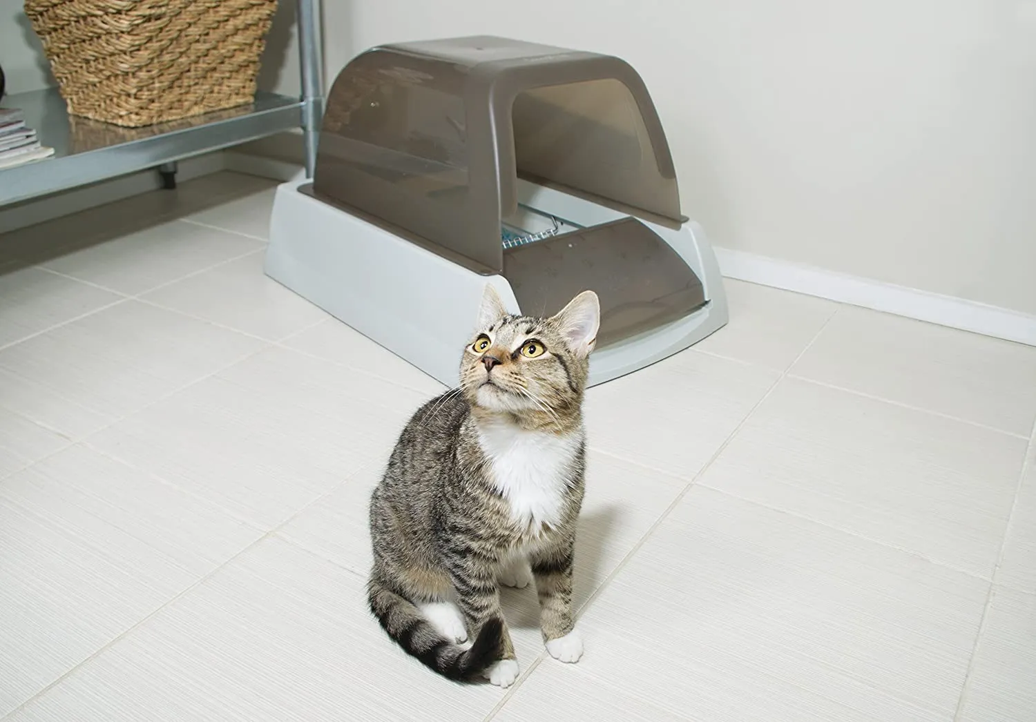 PetSafe ScoopFree Ultra Self-Cleaning Cat Litter Box – Automatic with Disposable Tray – Taupe Covered! Retails $317 
