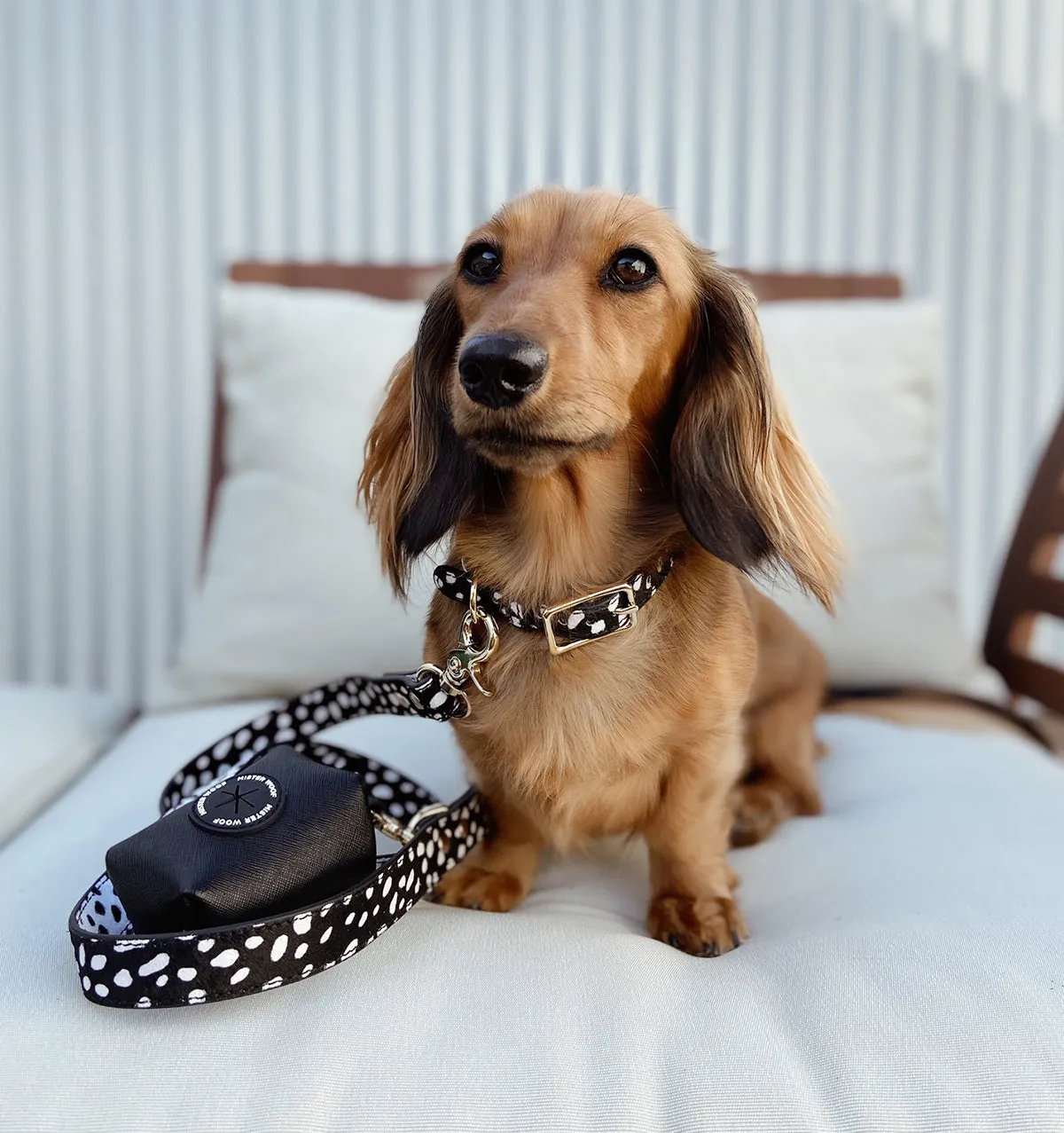Polka Dot Leather Standard Dog Lead