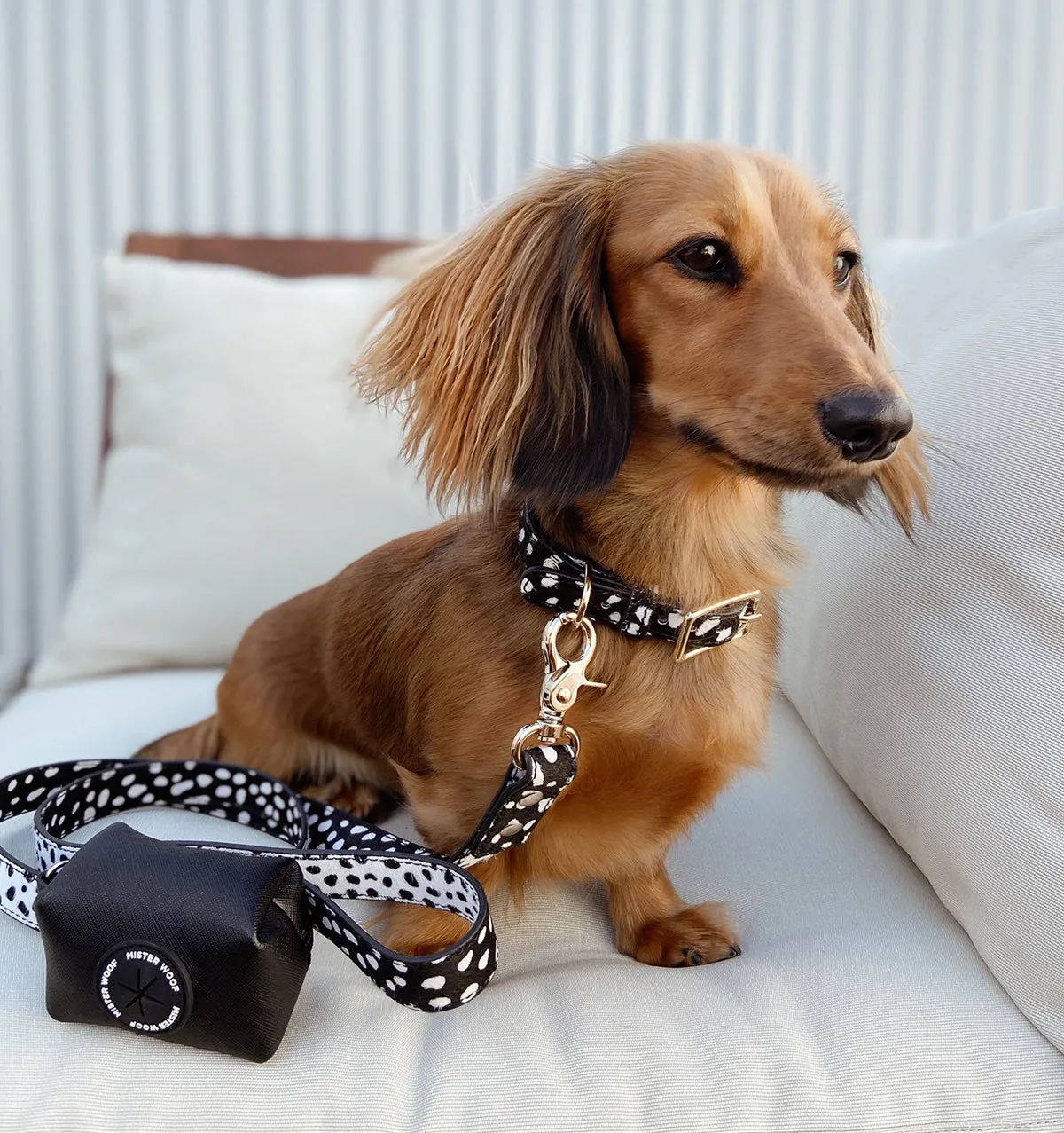 Polka Dot Leather Standard Dog Lead