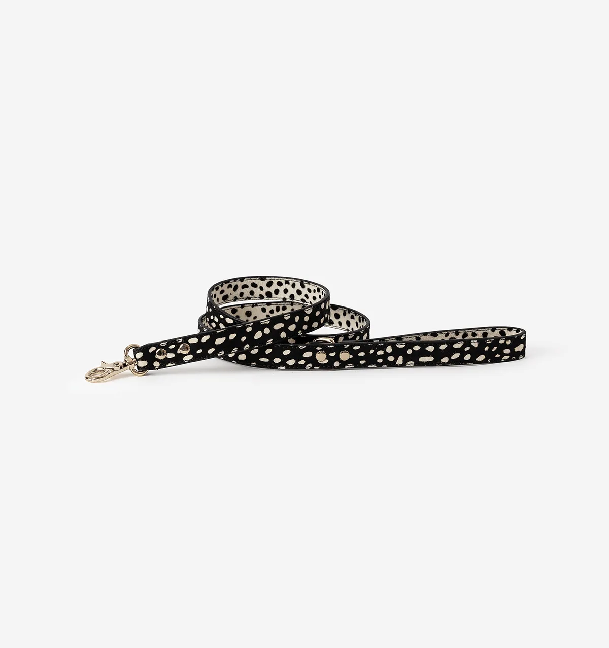 Polka Dot Leather Standard Dog Lead