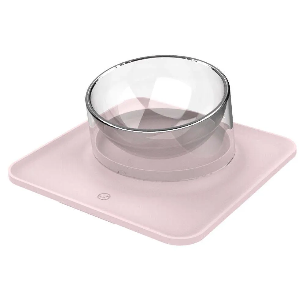 Spill-proof pet bowl Dishes