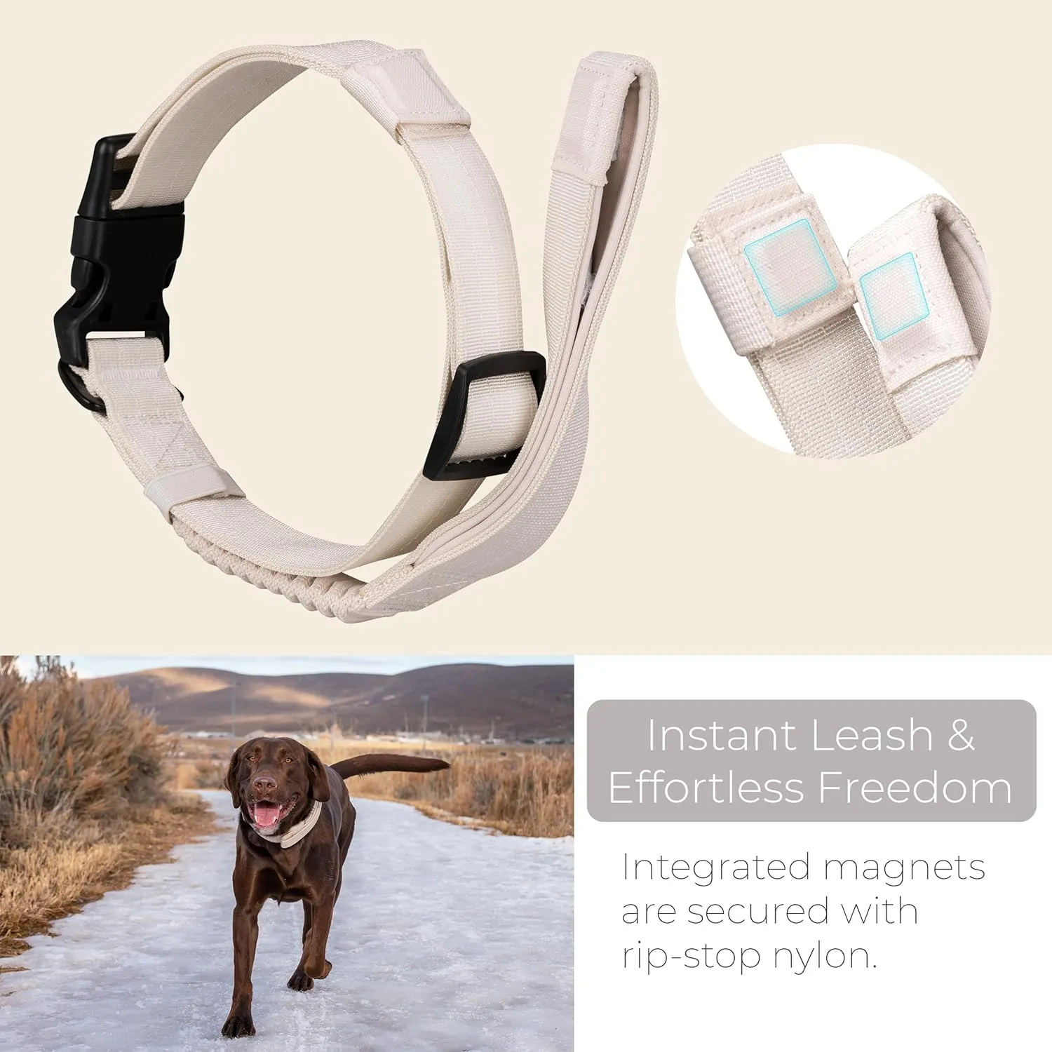 TUG Grab Collar | Integrated Traffic Leash Magnetically Attached for Quick Control (Medium/Cream)